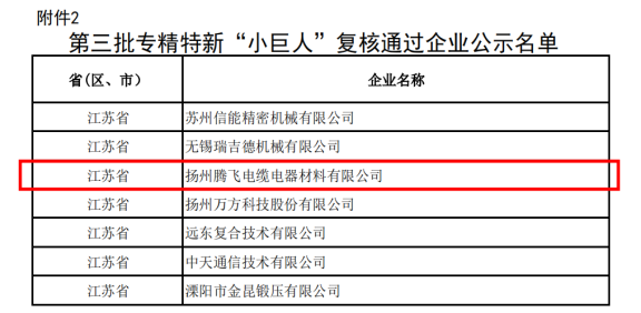 喜訊！揚(yáng)州騰飛成功通過國家級專精特新“小巨人”企業(yè)復(fù)核